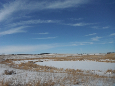 Snow covered wetland surrounded by a snowy prairie under a sunny blue sky with cirrus clouds