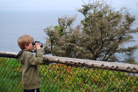 A young boy with a pair of binoculars peers over a fence at the edge of a bluff over the ocean