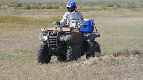 A helmeted employee drives an all-terrain vehicle to dispense vaccine pellets to prairie dogs at Rocky Mountain Arsenal National Wildlife Refuge in Colorado. 