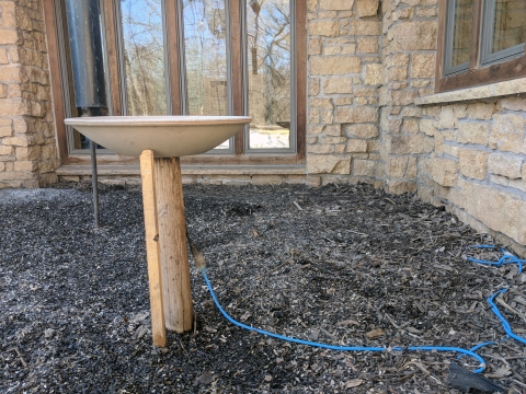A heated bird bath at Fort Snelling State Park in Minnesota.