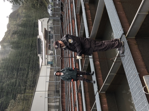 Releasing Fall Chinook Salmon