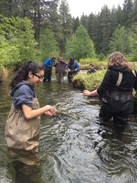 High school students in waders explore a creek together.