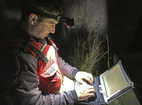 a man works on a laptop at night