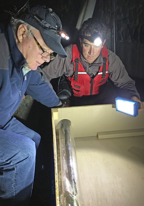 two men look at a tub with lamprey inside