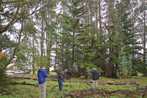 Three people standing in forest