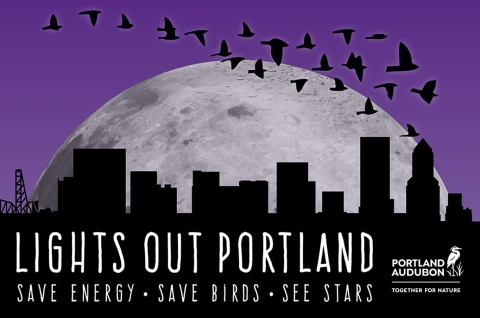 Lights Out Portland