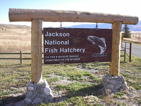Image of the Jackson National Fish Hatchery entrance sign