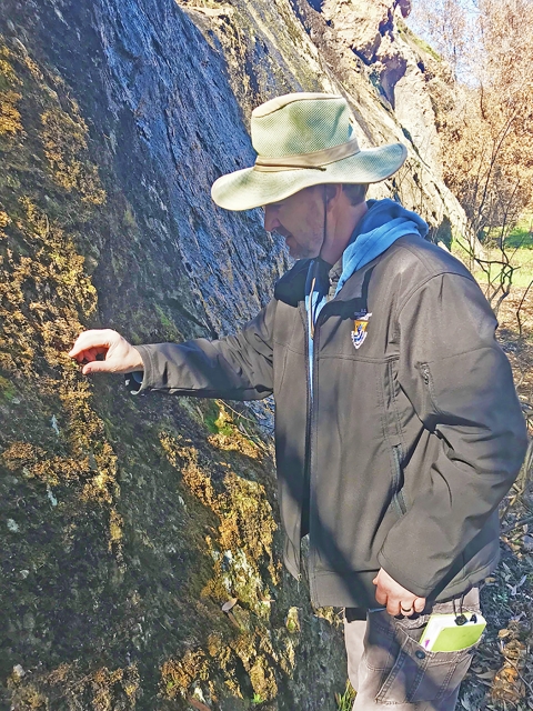 A man looks at a small plant growing on the side of a rock.