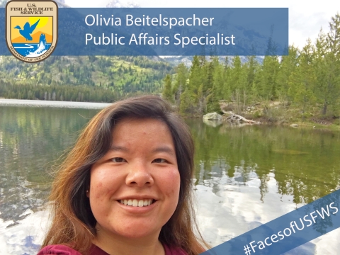 A woman stands in front of a lake. A banner reads "#FacesofUSFWS". Another banner reads "Olivia Beitelspacher, Public Affairs Specialist"