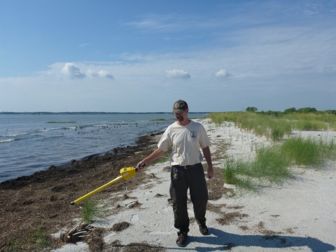 A USFWS employee walks along the beach with a metal detector