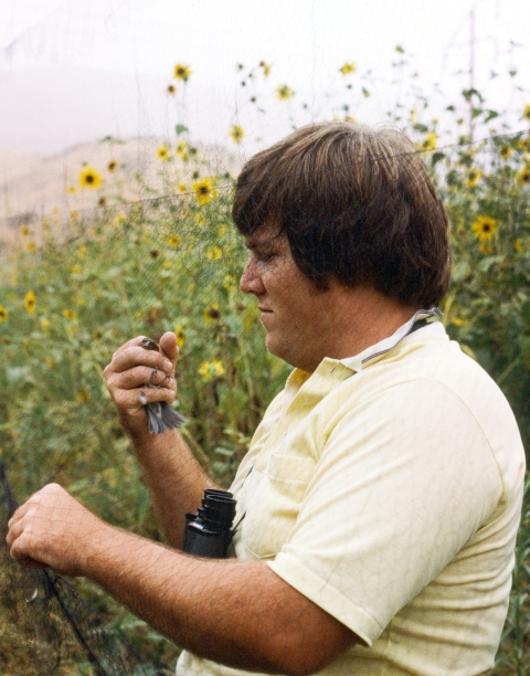 A man standing in a field of flowers with binoculars