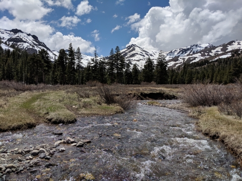a shallow mountain stream rushes through dry grasses with snow-capped mountains in the distance