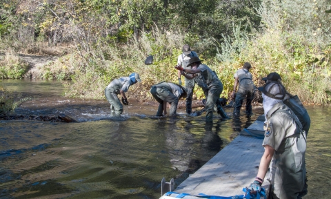 Five people clear rocks from a stream to make way for two people holding a large piece of rectangular equipment
