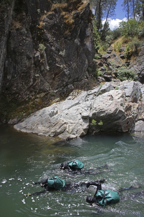 three people snorkeling in a river