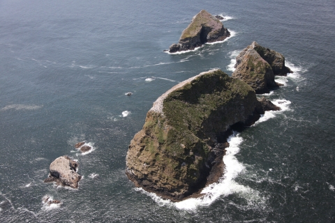 Three Arch Rocks, a group of grassy, rocky islands a half-mile off the Oregon Coast, viewed aerially from the east