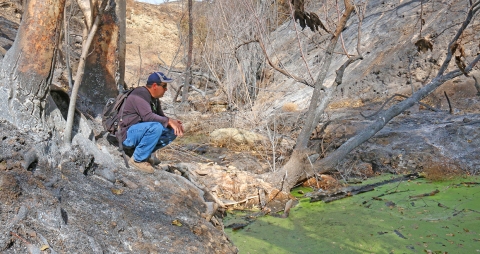 A man crouching amidst large rocks