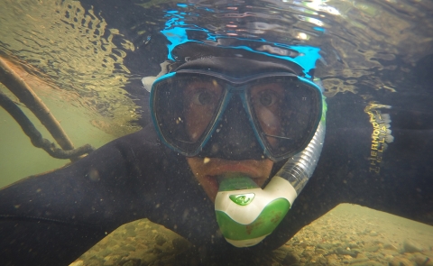 a person in snorkeling gear under water 