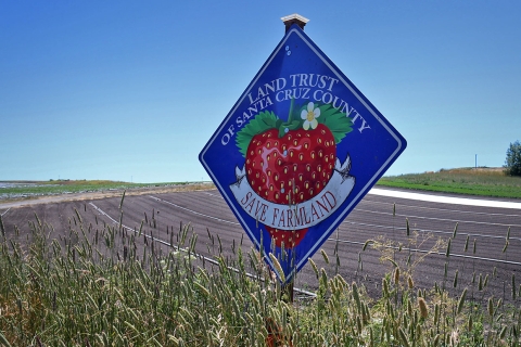 A blue sign with a large strawberry on it