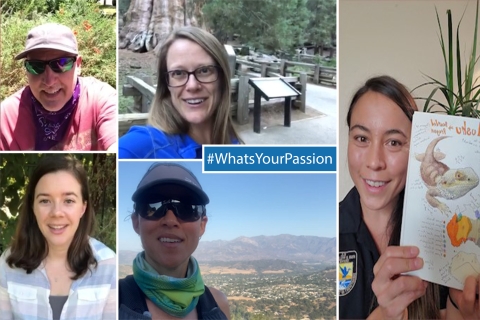 A collage of staff members. A banner reads "#WhatsYourPassion