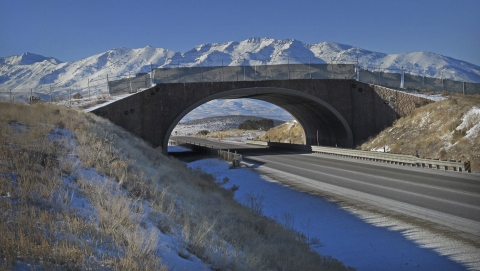 an animal bridge over a highway