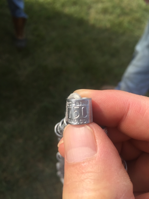 a silver metal band with letters and numbers are placed on the ducks