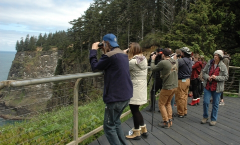 A group of visitors atop an observation deck view seabirds on the ocean and cliffs through binoculars and spotting scopes