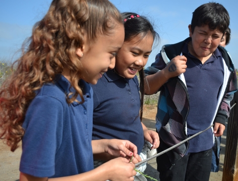A boy makes a face at the taste of wild pickleweed at San Diego Bay National Wildlife Refuge.