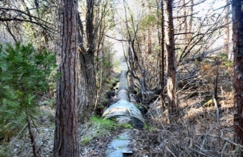 A large corrugated pipe runs along the bed of a creek.