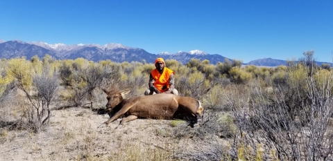 Aa man in an orange top poses in an arid shrubland setting with an elk he hunted. You can see mountains behind him.
