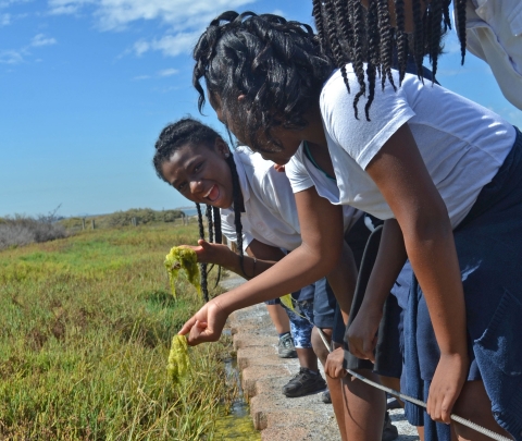 Girls make faces while bending over a marsh to pick up and examine algae at San Diego Bay National Wildlife Refuge.