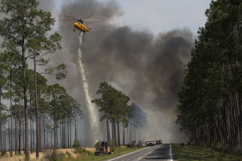 From a helicopter firefighters spray water on a stand of trees to contain a wildfire at Okefenokee National Wildlife Refuge in 2017.