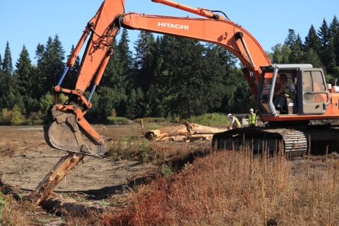 An orange bulldozer drives a tree trunk into the ground in a restored creek channel.
