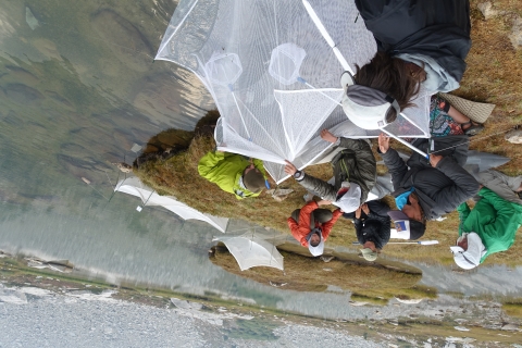 a group of people sit at the edge of a clear lake trapping frogs under nets