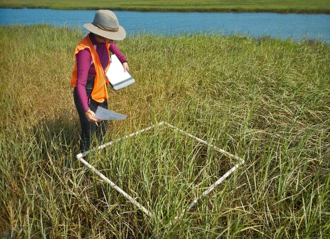 Woman standing in tall grass with clipboard and papers in hands