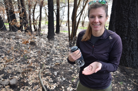 A woman holds a tiny salamander in her hand. It is about 2 inches long with small legs and feet.