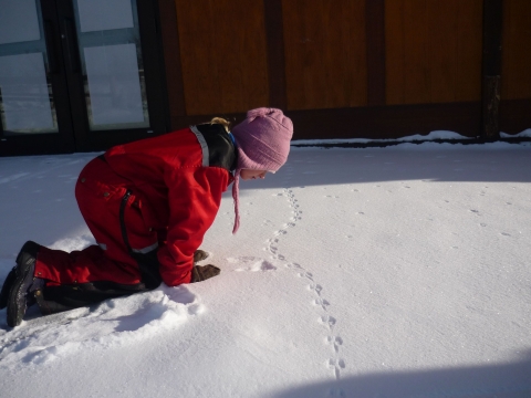 A child in red snowsuit and pink hat kneels to look at animal tracks in the snow.