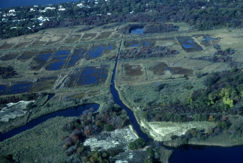 Seatuck Aerial View