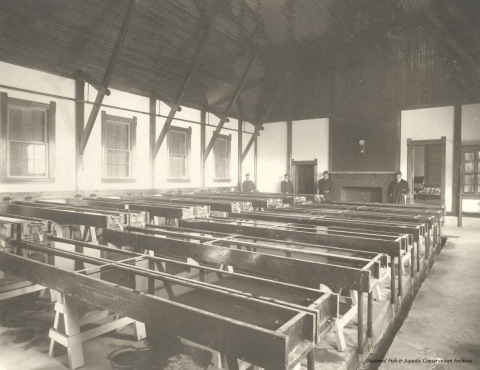 Wooden throughs fill the main room of the 1899 hatchery building; staff pose behind them.