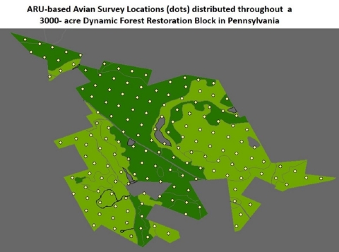 Image of Avian Survey Locations in a Forest Restoration Block