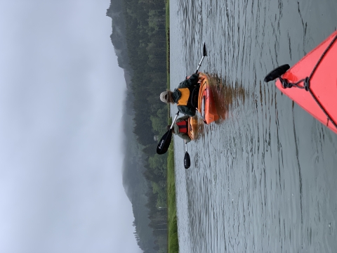 Paddlers travel down Millport Slough on a cloudy gray day
