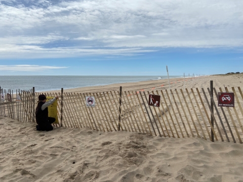 Biologist posts sign closing beach to public access