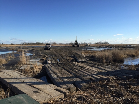 Heavy equipment facilitates marsh restoration