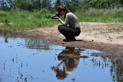 A woman looking through a camera crouches next to a pond to take a photograph of something in the water