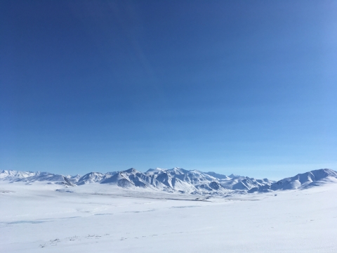 Winter view of a snowy Arctic landscape of tundra, mountains, and clear blue sky.