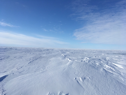 Windblown white snow to the horizon, covering Arctic sea ice, under a blue, early spring sky.