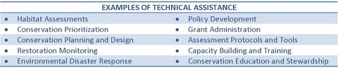 chart with text describing the types of technical assistance. 
