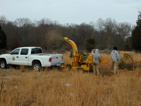 Refuge staff use a wood chipper to grind removed cedar trees