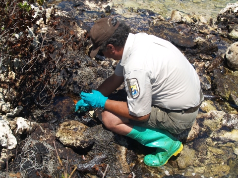 Man in a Fish and Wildlife Service uniform kneeling down collecting a sample of polluted water from a small natural pool.