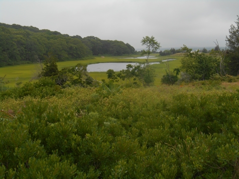Wide open grassland surrounds a small coastal pond