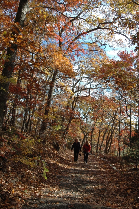 Two people hike a trail surrounded by fall colors